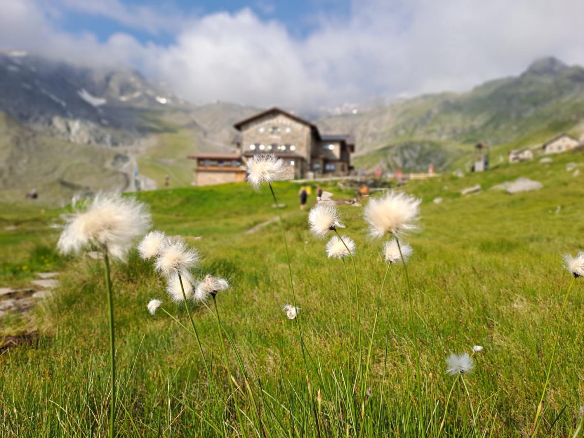 Ferienwohnung Jakob-Adults Only Neustift im Stubaital Zewnętrze zdjęcie
